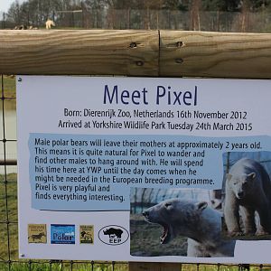 Info board for newly arrived bear. 30-3-15