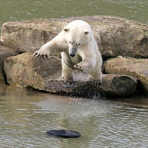 A flying Pixel 30-3-15