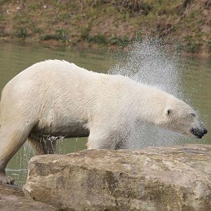 Pixel drying off. 30-3-15