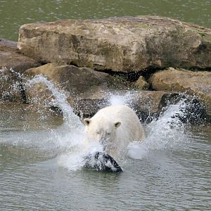 A splashing Pixel 30-3-15