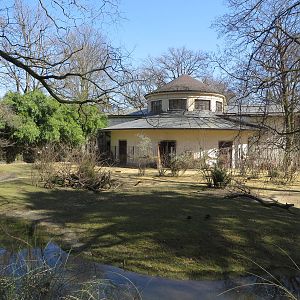 Lesser kudu enclosure