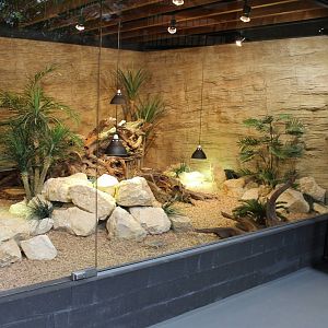 Australian lizard enclosure