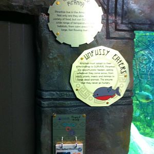 new signage in aquarium area