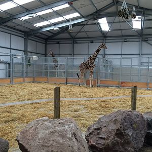 Indoors with the current 2 residents