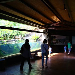 Rivers of the World - "Welcome" exhibit