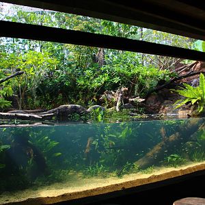 Rivers of the World - "Welcome" exhibit