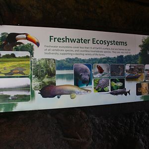 Rivers of the World - Signage