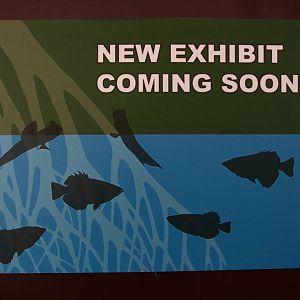 New mangrove display