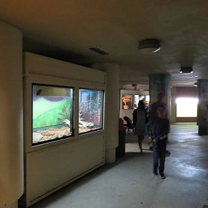 Serpentarium, March 2015