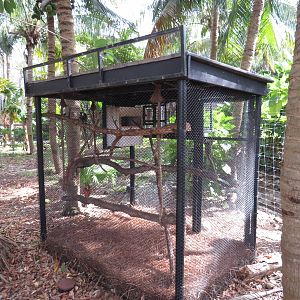 Common marmoset enclosure, March 2015