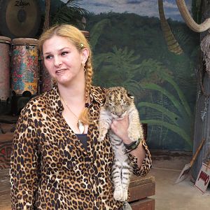 Tiger cub in the show, March 2015