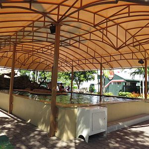 Ray pool, March 2015