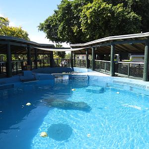 Manatee pools, March 2015