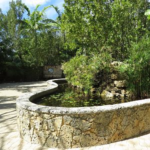 Discovery bay pools, March 2015