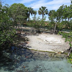 Sea turtle enclosure, March 2015