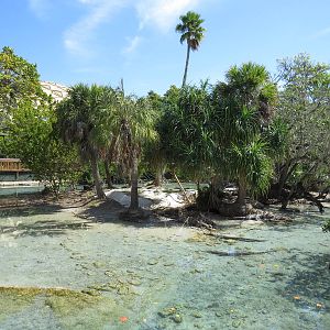Crocodile island, March 2015