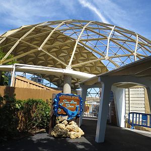 Sealion stadium, March 2015