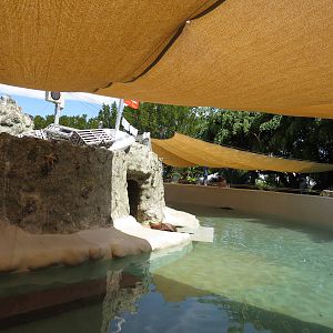 Harbour seal enclosure, March 2015