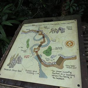 Gorilla exhibits map, March 2015