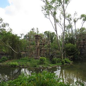 White-cheeked gibbon enclosure, March 2015