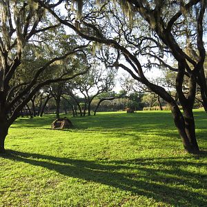 Kilimanjaro safaris, March 2015