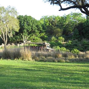 Trucks on the trail - Kilimanjaro safaris, March 2015