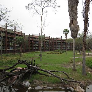 Savannah, March 2015