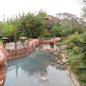 Waterfowl enclosure, March 2015