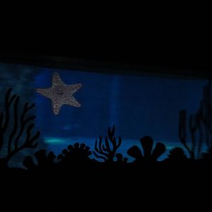 Ride viewing window, March 2015