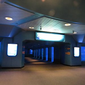 Viewing corridor, March 2015