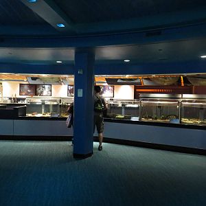 Nursery tanks, March 2015