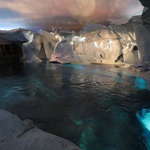 Beluga pool from above, March 2015