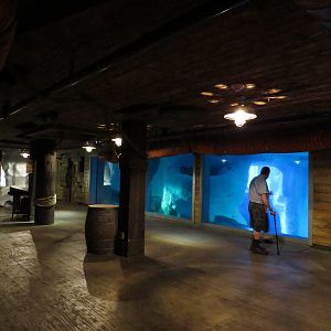 Harbour seal viewing area, March 2015