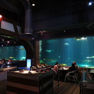Shark restaurant, March 2015