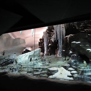 Penguin exhibit - as seen from 'Antarctica' ride, March 2015