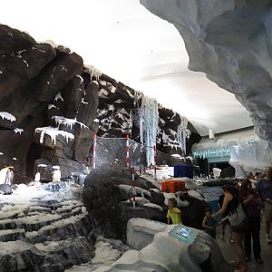 Penguin exhibit, March 2015
