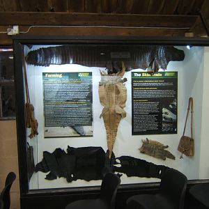 View of Education room display