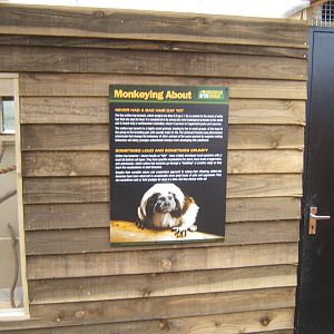 Cotton-topped Tamarin signage