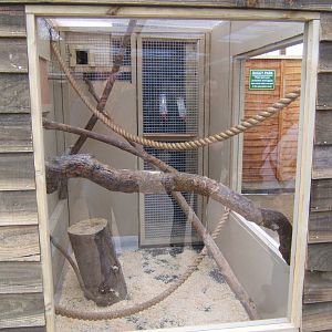 View of indoor for Tamarinss