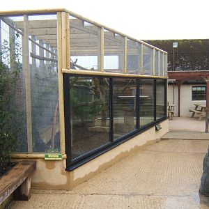 Cotton-topped Tamarin and ASCO enclosures