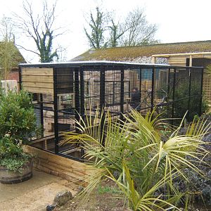 View of Kookaburra aviary