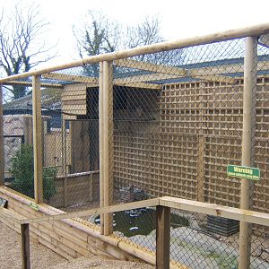 View on Bengal Eagle Owl aviary
