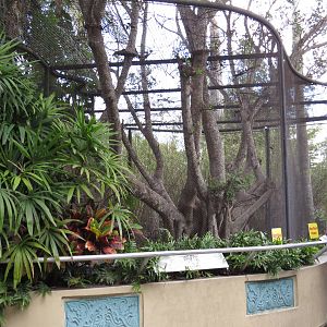 Upper level of clouded leopard enclosure, March 2015