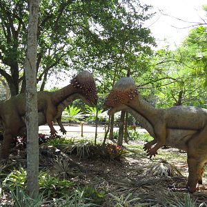 Pachycephalosaurs, March 2015