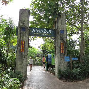 Amazon and beyond - sign for 'Land of the Giants', March 2015