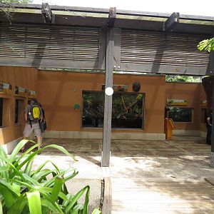 Terraria - Amazon and beyond, March 2015