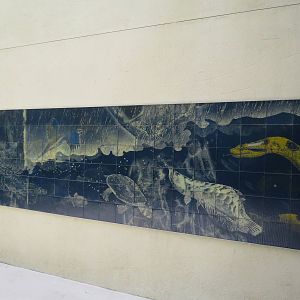 Holographic(?) artwork - Amazon and beyond, March 2015