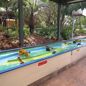 Interactive waterway - Amazon and beyond, March 2015