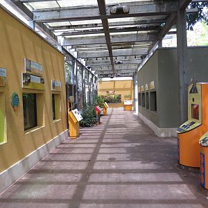 Terraria - Amazon and beyond, March 2015