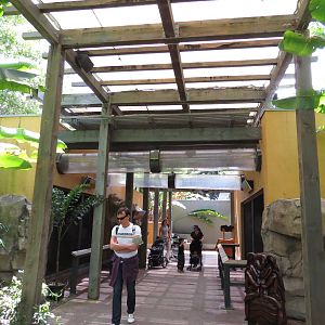 Bat enclosures, March 2015